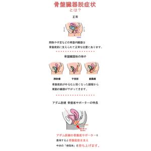 アダム医健 骨盤臓器脱専用 骨盤底サポーター ...の詳細画像5