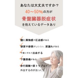 アダム医健 骨盤底サポーター 骨盤臓器脱 頻尿...の詳細画像3