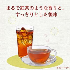伊藤園 ヘルシールイボスティー 600ml×24本の詳細画像1