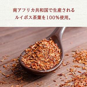 伊藤園 ヘルシールイボスティー 600ml×24本の詳細画像2