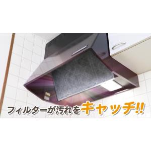 パッと貼るだけ 深型用フィルター 60cm 3...の詳細画像4