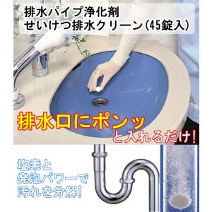 パイプクリーナー 排水パイプ浄化剤 せいけつ排...の詳細画像1