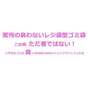 レジ袋型 防臭袋 15L 100枚入 生ゴミ ...の詳細画像1