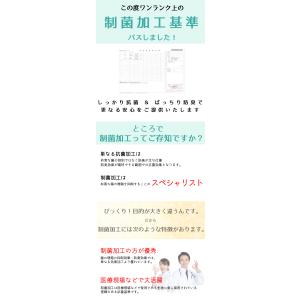 防水シーツ しっかり抗菌 防臭 ダブル おねし...の詳細画像2