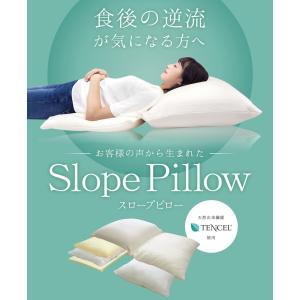 逆流性食道炎の方へ スロープピロー Slope Pillow 高機能 安眠 枕