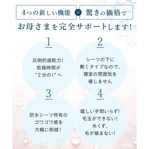 防水シーツ 超速乾 セミダブル (2枚組) ア...の詳細画像3