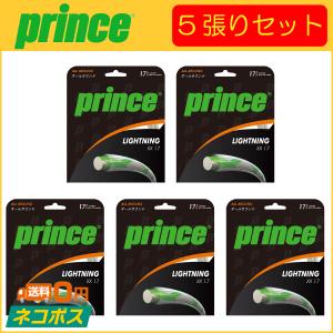 TECGUT GOSEN ゴーセン TECPOWER テックパワー SS605 5張りセット