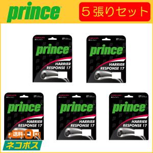 Prince（プリンス） Prince HARRIER RESPONSE 17 ガット テニス
