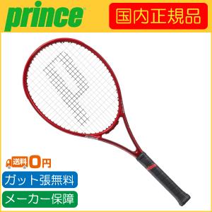 Prince（プリンス） 2024年モデル BEAST DB 100 ビースト DB 100 300g