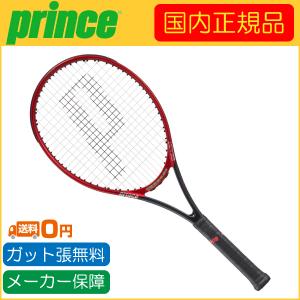 Prince（プリンス） 2024年モデル BEAST 100 ビースト 100 300g 7TJ201