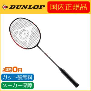 DUNLOP ダンロップ Z-STAR CONTROL 83 ゼットスターコントロール83 国内正規品 DBF00004 バドミントンラケット｜r-tennis