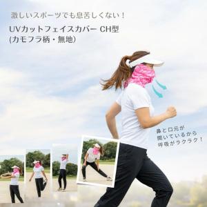 店頭在庫商品 White Beauty ホワイ...の詳細画像1