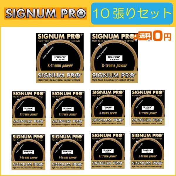 SIGNUM PRO シグナムプロ Firestorm ファイヤーストーム 10張りセット  硬式テ...