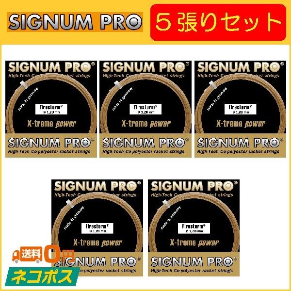 SIGNUM PRO シグナムプロ Firestorm ファイヤーストーム 5張りセット  硬式テニ...