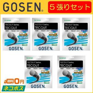 GOSEN ゴーセン TECGUT テックガット TS600 601 5張りセット  硬式テニス用ガット｜r-tennis