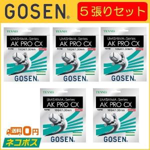 GOSEN ゴーセン AK PRO CX AKプロCX TS760 5張りセット  硬式テニス用ガット｜r-tennis