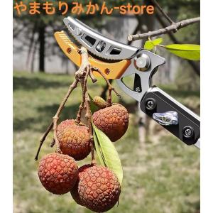 高枝切りバサミ 3m 伸縮式高枝切鋏 鋸付き 伸縮式