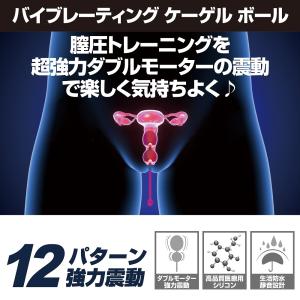 フェムテック 骨盤底筋トレーニング 産後ケア ...の詳細画像3