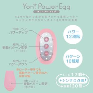 フェムテック 膣トレ 産後 フェムケア 膣トレ...の詳細画像2