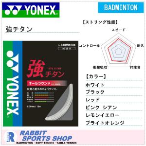 YONEX ヨネックス エクスボルト65 EXBOLT 65 バドミントンガット