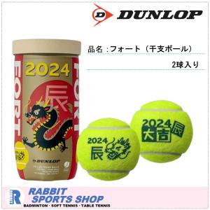 ダンロップ DUNLOP 硬式テニスボール 干支ボール 2024年「辰」FORT(フォート) 2個入 DFE23ETOYL2｜rabbit-shop