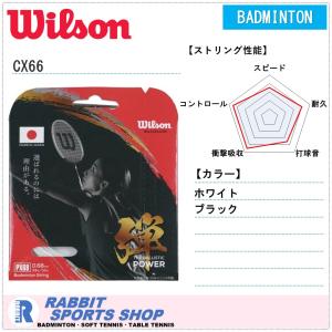 GOSEN（ゴーセン） RYZONIC65 ライゾニック65 バドミントンガット 200m