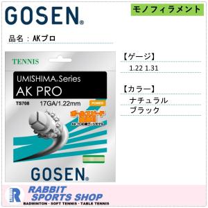 GOSEN（ゴーセン） ミクロスーパー 125 130 135 硬式テニスガット