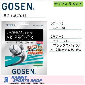 LUCENT（ルーセント） テニスバッグ ミニドラムバッグ XLB-380