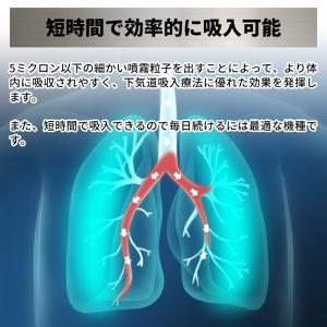 メーカー直営店 ネブライザー メッシュ式 医療...の詳細画像5
