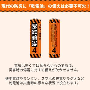 防災電池 防災備蓄 第4形 【12年保存可能】...の詳細画像1