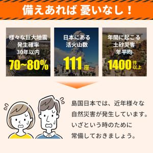 防災電池 防災備蓄 第4形 【12年保存可能】...の詳細画像2