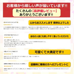 プチギフト 入浴剤 退職 2種×10セット お...の詳細画像3