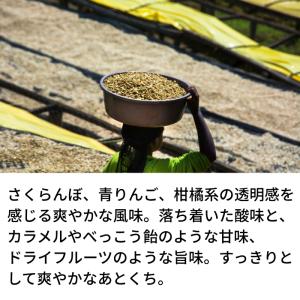 コーヒー豆 ルワンダ スカイヒル コブロカWS...の詳細画像3