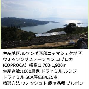 コーヒー豆 ルワンダ スカイヒル コブロカWS...の詳細画像4