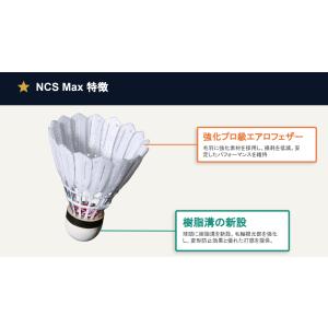 【10ダース120球入り】バドミントン シャト...の詳細画像2