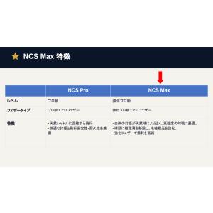 【10ダース120球入り】バドミントン シャト...の詳細画像3
