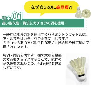 バドミントン シャトル5ダース 練習用 ラケッ...の詳細画像2