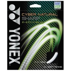 YONEX 【特価品】 【フレームのみ】 (ヨネックス） アイ