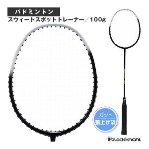 ブラックナイト バドミントントレーニング用品 スウィートスポットトレーナー/100g『BIR-24SST100』｜racket