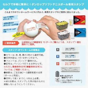 代引不可 ダンロップ ソフトテニスボール ネーム入れ ダンロップ ソフトテニスボール 公認球 イエロー 10ダース入りバスケット Dstbyl2cs1 Filmisland Net