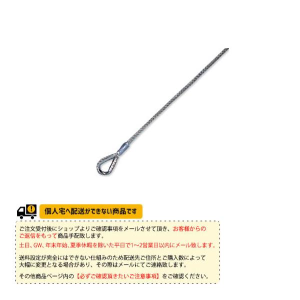 寺西喜ネット テニスコート用品 テニスネット上部ロープ 硬式用スチールワイヤーロープ KT-242