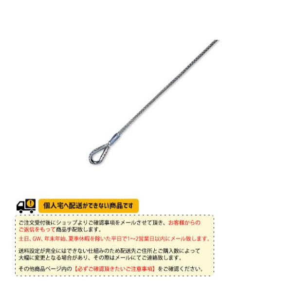 寺西喜ネット ソフトテニスコート用品 テニスネット上部ロープ ソフト用スチールワイヤーロープ KT-...