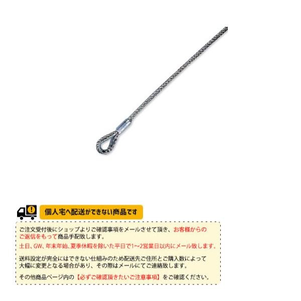 寺西喜ネット テニスコート用品 テニスネット上部ロープ 硬式用ステンレスワイヤーロープ KT-424...