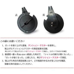 A-WIN『アーウィン』 バドミントンアクセサ...の詳細画像2