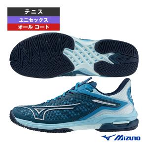 MIZUNO ミズノ テニスシューズ メンズ レディース ウエーブ