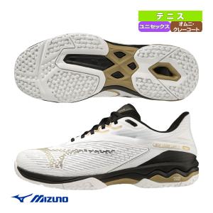 ミズノ テニスシューズ ウエーブエクシードライト2スーパーワイド WAVE EXEED LIGHT 2 SW オムニクレーコート ユニセックス 61GB2319