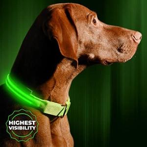 Illumiseen 犬用首輪 LED 光る USB充電対応 夜でもかわいいワンちゃんが視認可能 いつでも見つけられ安全安心 6サ