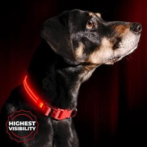 Illumiseen 犬用首輪 LED 光る USB充電対応 夜でもかわいいワンちゃんが視認可能 いつでも見つけられ安全安心 6サ