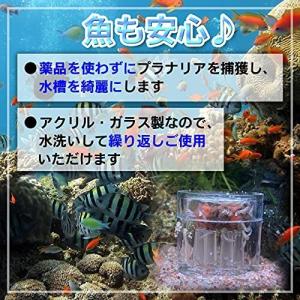 スネール 駆除 熱帯魚 アクアリウム用品 の商品一覧 ペット用品 生き物 通販 Yahoo ショッピング