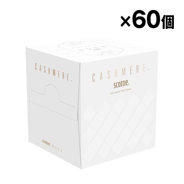クレシア スコッティ カシミヤキューブ 80 ダブル ティッシュペーパー 60個入 1ケース まとめ...